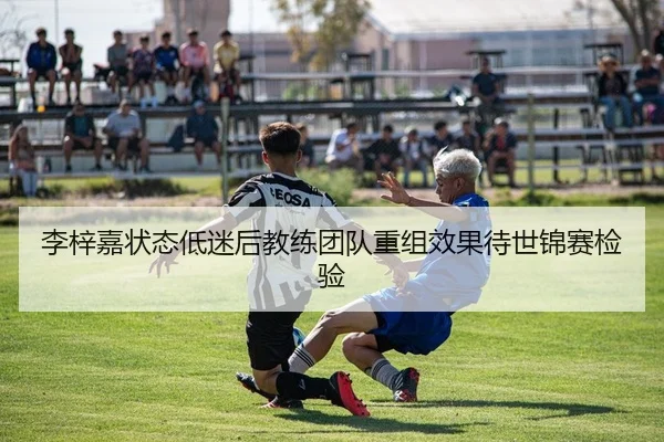 李梓嘉状态低迷后教练团队重组效果待世锦赛检验